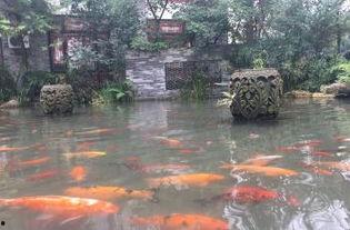 三道堰图片,古韵水乡，诗意栖息